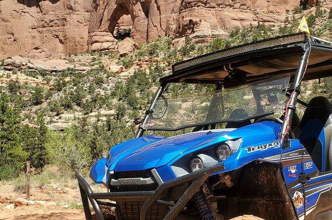 Private Side-by-Side Car Tour in Arch Canyon - Confirmation and Accessibility