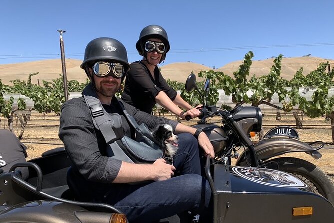 Private Sidecar Winery Tour Through Paso Robles - Accessibility and Transport