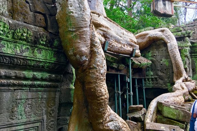 Private Siem Reap 4 Days Highlight of Angkor Complex Tour - Ratings and Reviews