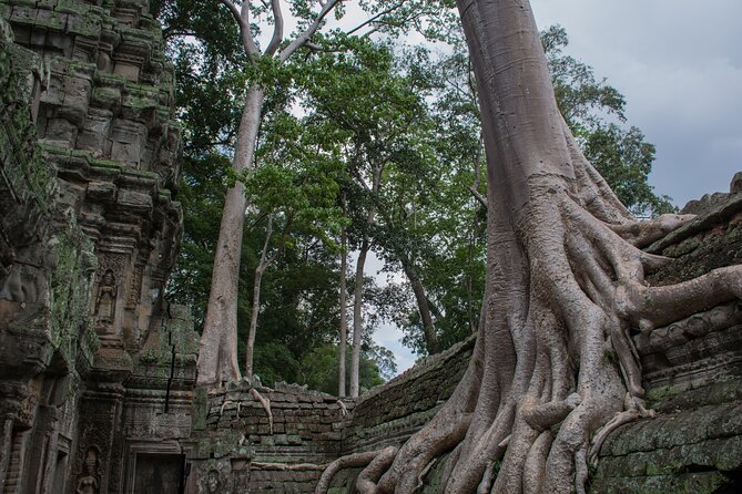 Private Siem Reap Airport Transfer to Your Hotel in Town - Pickup and Drop-off Details