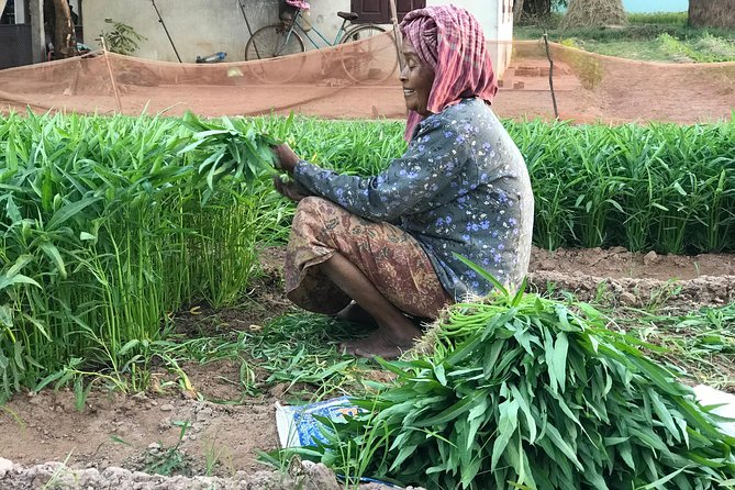 Private Siem Reap Countryside Tour by Jeep With Local Food Experience - Countryside Exploration