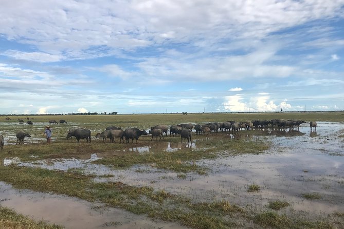 Private Siem Reap Countryside Tour by Jeep With Local Food Experience - Lunch and Cuisine
