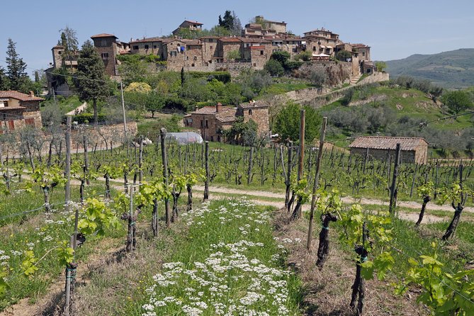 Private Siena to Florence Chianti and San Gimignano Transfer Tour - Traveler Reviews