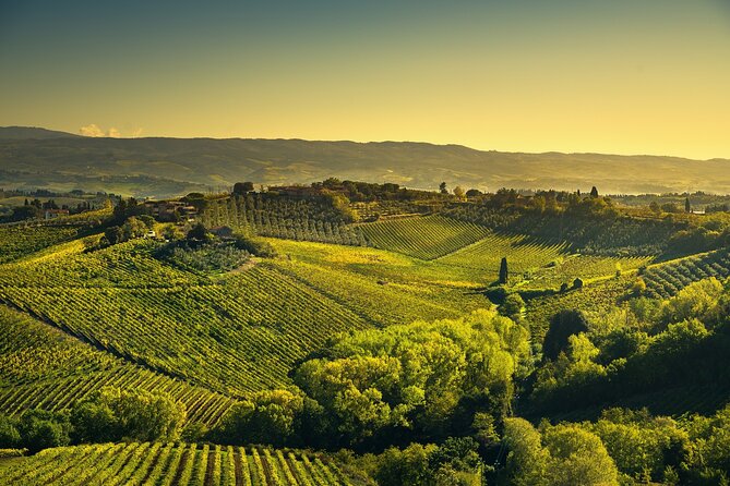 Private Siena Tour With Pisa and San Gimignano From Montecatini - Inclusions and Exclusions