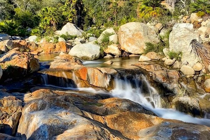 PRIVATE Sierra De Laguna Hiking & Natural Spring Swim Waterfall - Natural Springs and Waterfall Swim