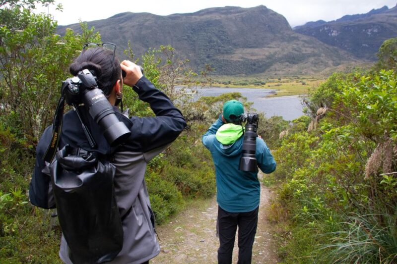 Private Sight Tour Chingaza Paramo From Bogota, Andean Bear - Wildlife and Nature Exploration