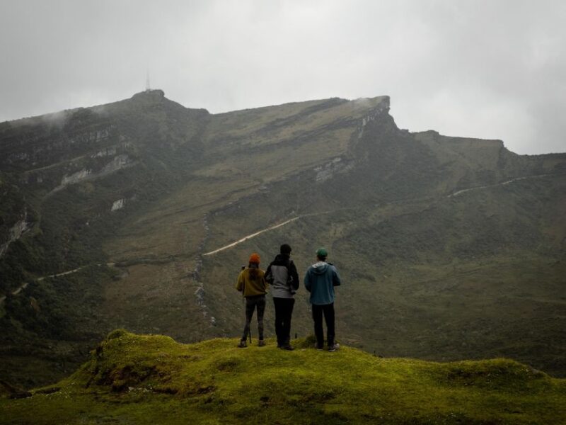 Private Sight Tour Chingaza Paramo From Bogota, Andean Bear - Important Information