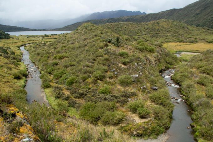 Private Sight Tour Chingaza Paramo From Bogota, Andean Bear - Contact and Booking