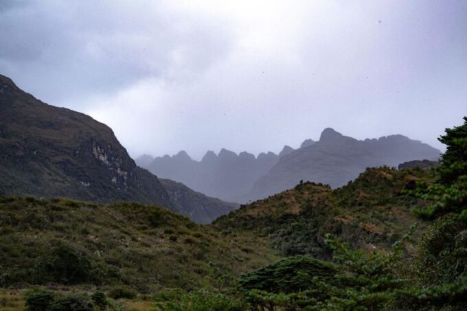 Private Sight Tour Chingaza Paramo From Bogota, Andean Bear - Recap