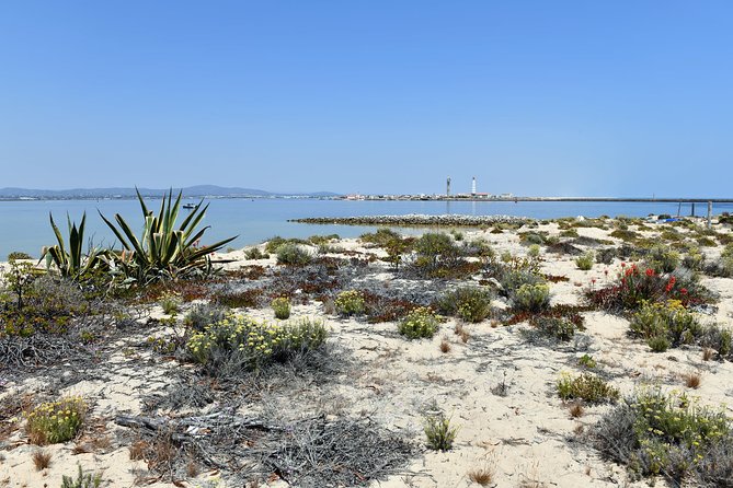 Private Sightseeing Boat Tour in Ria Formosa at Olhão - Meeting Details and Location