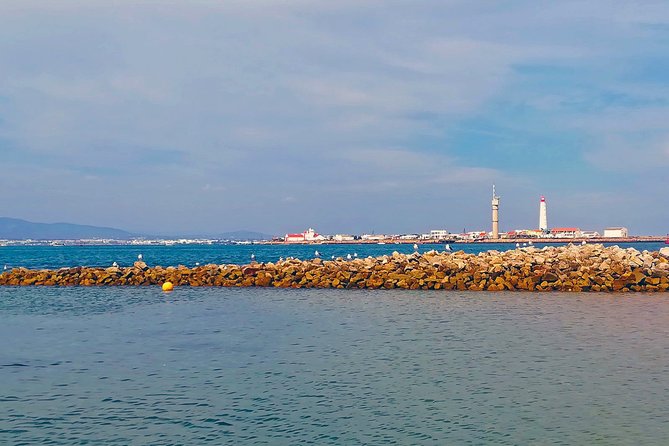 Private Sightseeing Boat Tour in Ria Formosa at Olhão - Reviews and Testimonials
