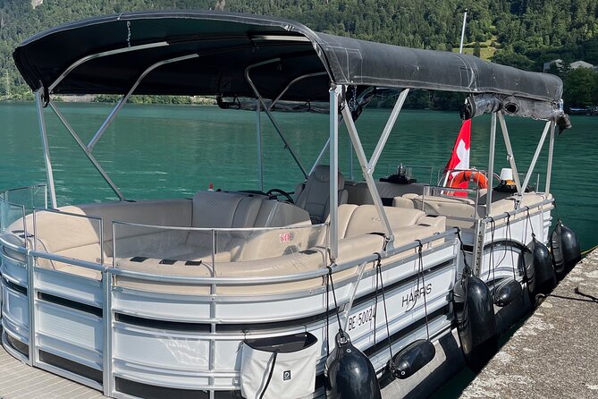 Private Sightseeing Boat Trip on Lake Thun, Interlaken - Sightseeing and Scenic Views