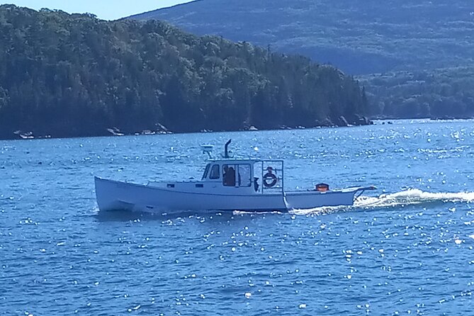 Private Sightseeing Charter in Frenchman Bay - Pricing and Group Information