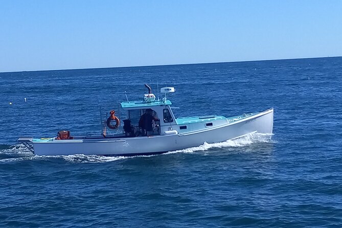 Private Sightseeing Charter in Frenchman Bay - Accessibility Features