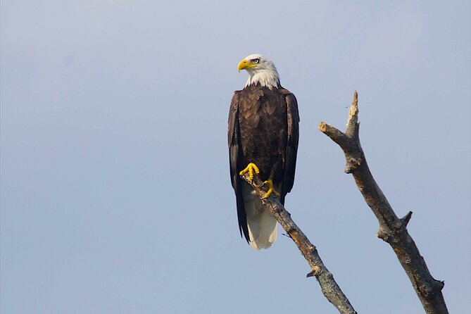 Private Sightseeing Charter in Frenchman Bay - Cancellation Policy and Booking Information