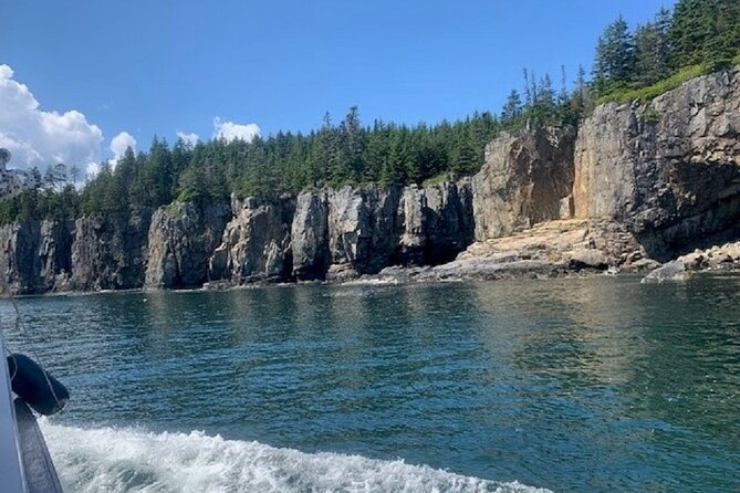 Private Sightseeing Charter in Frenchman Bay - Frequently Asked Questions