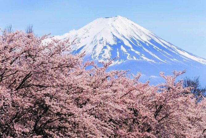 Private Sightseeing Full Day to Mt Fuji and Hakone - Inclusions and Amenities
