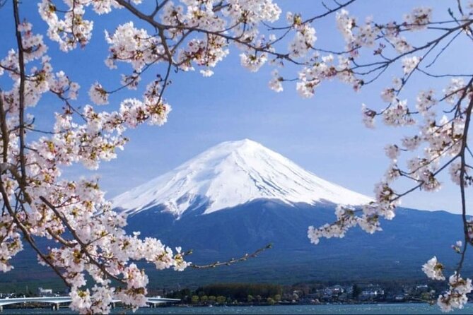 Private Sightseeing Full Day to Mt Fuji and Hakone - Cancellation and Refund Policy