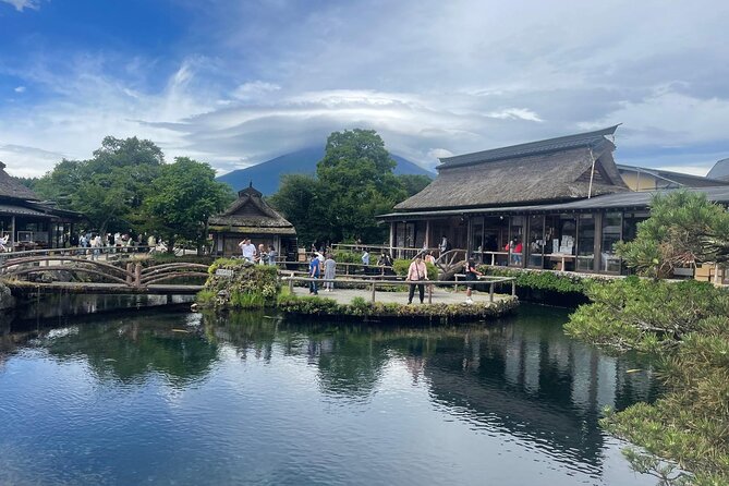 Private Sightseeing Full Day to Mt Fuji and Hakone - Traveler Feedback and Recommendations