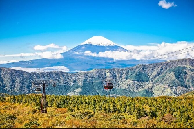 Private Sightseeing Full Day to Mt Fuji and Hakone - Discovering Hakone