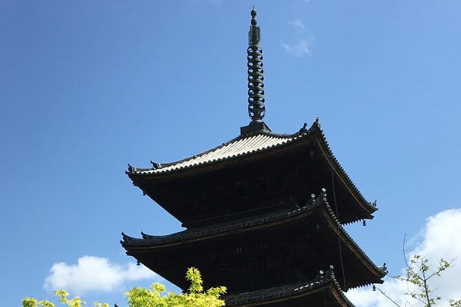 Private Sightseeing Guided Tour in Kyoto - Accessibility