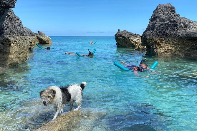 Private Sightseeing, Swimming Boat Charter With Captain and Dog! - Pricing and Cancellation Policy
