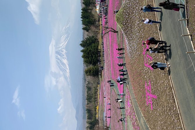 Private Sightseeing to Mt Fuji and Hakone Full Day - Exploring Mount Fuji