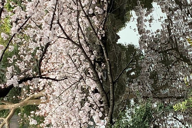 Private Sightseeing to Mt Fuji and Hakone Full Day - Additional Information