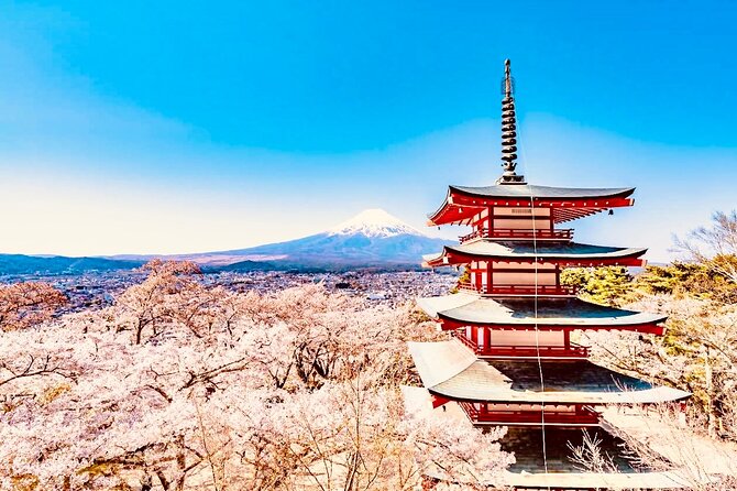 Private Sightseeing to Mt Fuji and Hakone With English Driver - Key Points