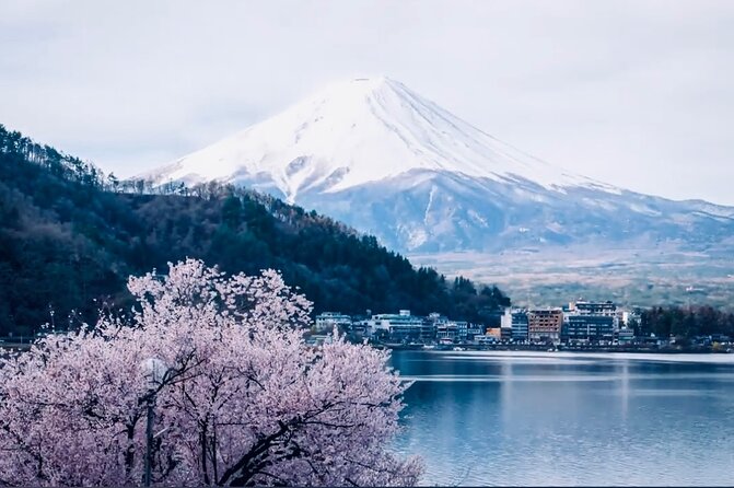 Private Sightseeing to Mt Fuji and Hakone With English Driver - Pickup Information