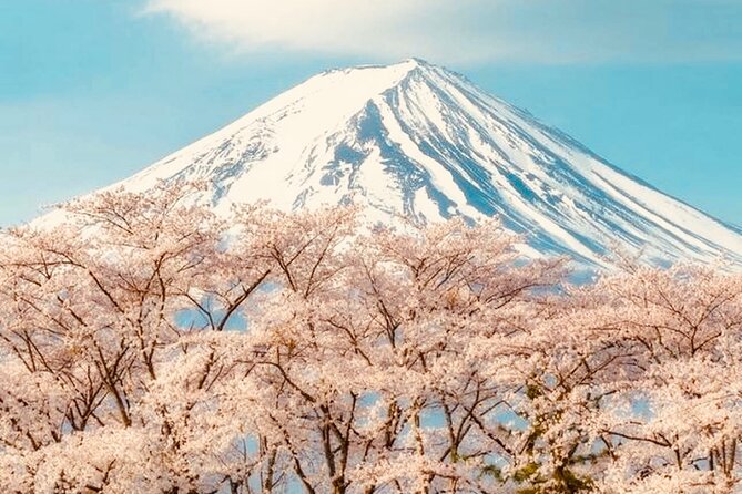 Private Sightseeing to Mt Fuji and Hakone With English Driver - Inclusions and Policies