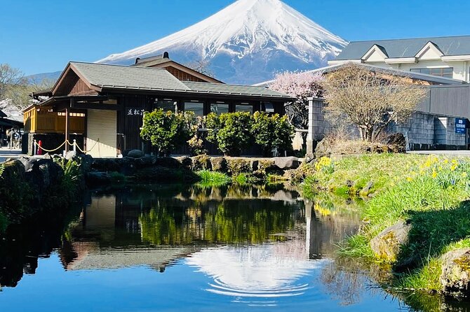 Private Sightseeing to Mt Fuji and Hakone With English Driver - Health and Accessibility Information