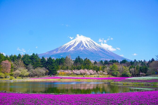 Private Sightseeing to Mt Fuji and Hakone With English Driver - Exploring Mt Fuji