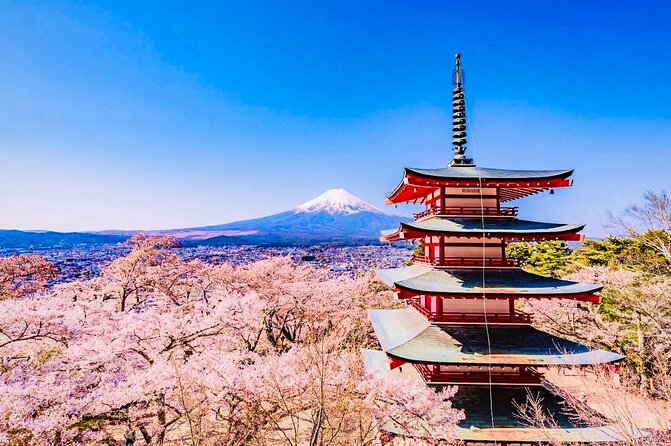 Private Sightseeing to Mt Fuji and Hakone With English Driver - Discovering Hakone