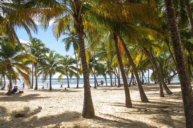 Private Sightseeing Tour | Guadeloupe - Customizable Itinerary