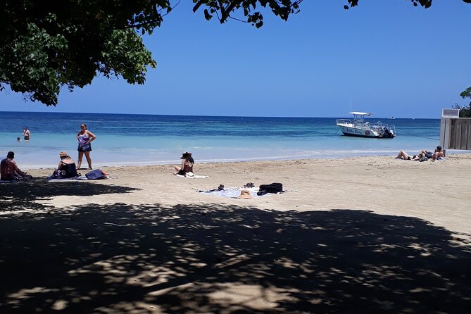 Private Sightseeing Tour in Ocho Rios - Tour Overview