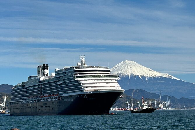 Private Sightseeing Tour in Shimizu Port by Sedan Taxis - Pricing