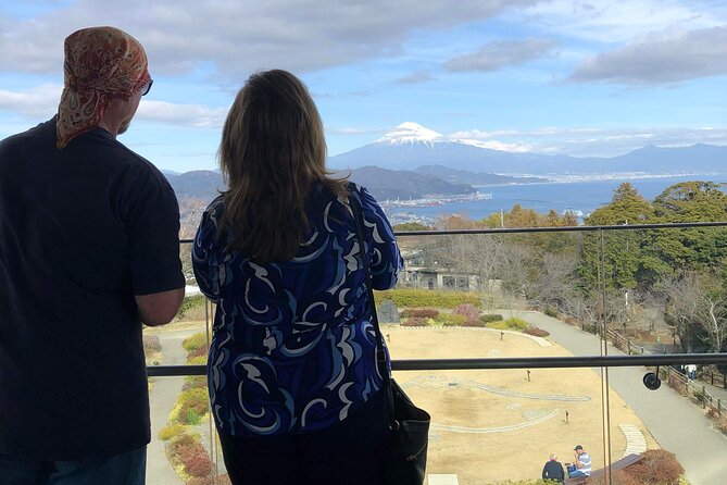 Private Sightseeing Tour in Shimizu Port by Sedan Taxis - Highlights of the Tour