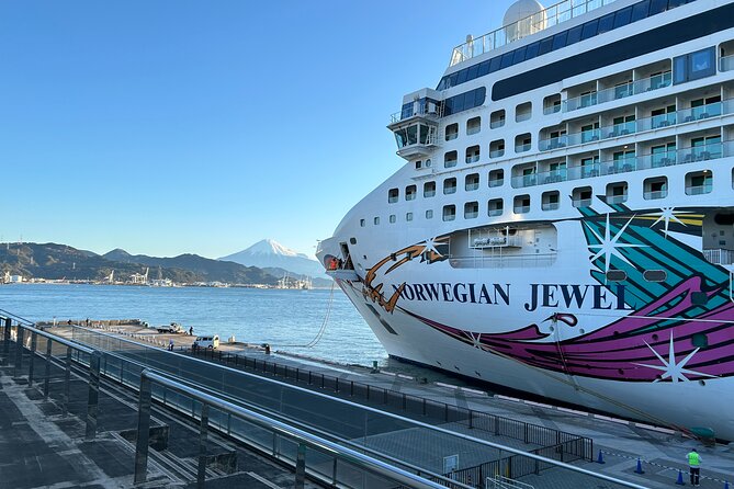 Private Sightseeing Tour in Shimizu Port by Sedan Taxis - Itinerary of the Tour