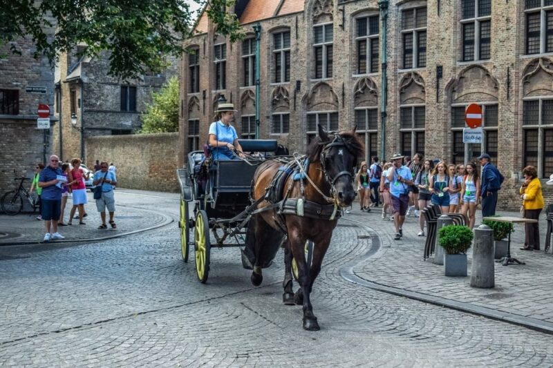 Private Sightseeing Tour to Bruges From Amsterdam - Sights and Activities