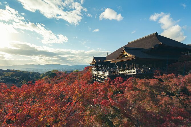 Private Sightseeing Tour to Kyoto - Visiting Kiyomizu-dera Temple