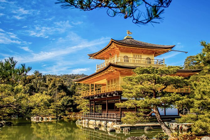 Private Sightseeing Tour to Kyoto - Convenient Transportation Details
