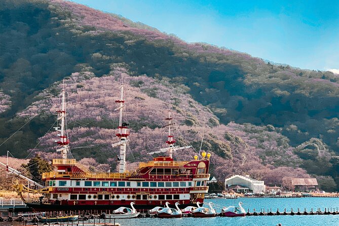 Private Sightseeing Tour to Mt Fuji and Hakone Guide - Inclusions