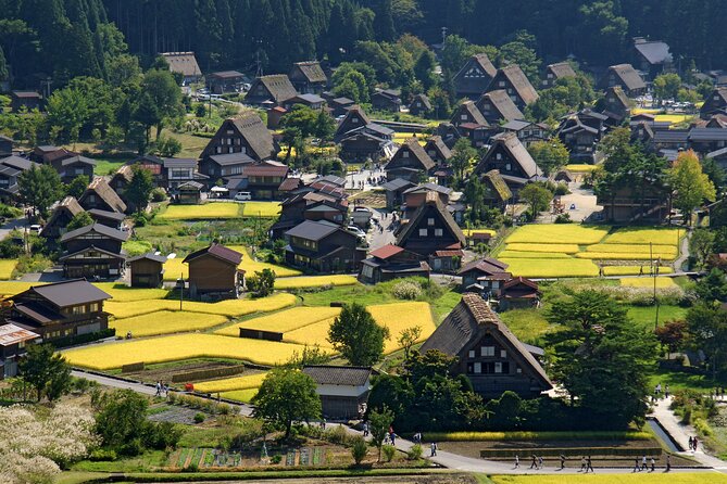Private Sightseeing Tour to Shirakawago and Takayama From Nagoya - Accessibility and Accommodations