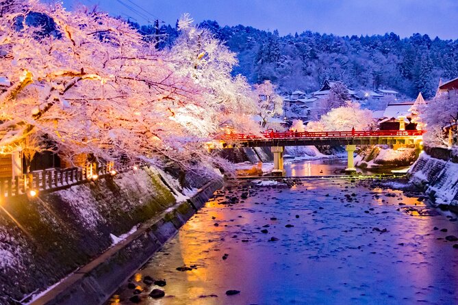Private Sightseeing Tour to Shirakawago and Takayama From Nagoya - Tour Itinerary and Schedule