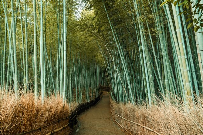 Private Sightseeing Tour Visit in Kyoto With Transfer Included - Confirmation and Availability