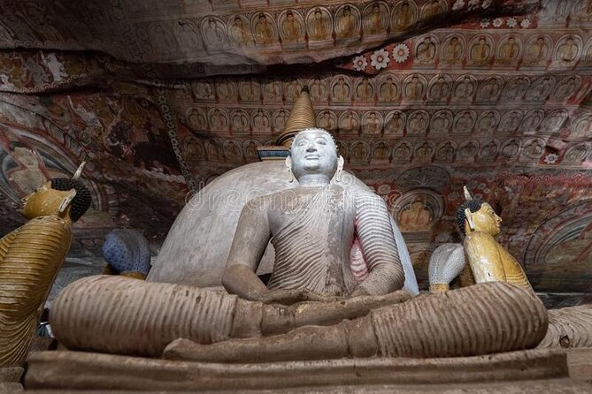 Private Sigiriya Day Tour and Authentic Sri Lankan Lunch Buffet - Health and Accessibility