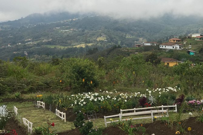 Private Silleteros (Flowers) Tour - Inclusions and Exclusions