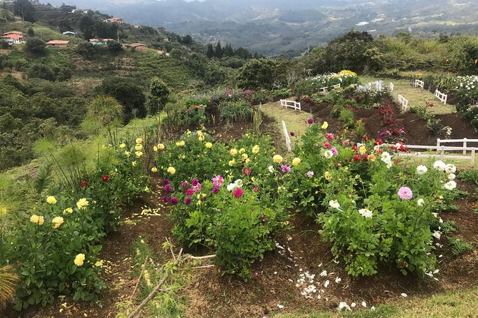 Private Silleteros (Flowers) Tour - Cultural Insights