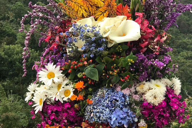 Private Silleteros (Flowers) Tour - Accessibility and Participation